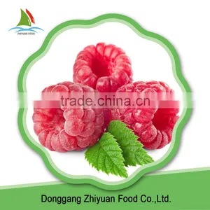 China High Quality IQF Frozen Cultivated Raspberry thumbnail-1