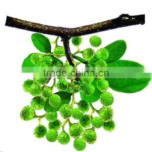 China New Products Szechuan Peppers Innovative Products for Import thumbnail-3