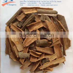 VIETNAM BROKEN CASSIA, HIGH QUALITY, BEST PRICE (+841657106604 - WHATSAPP) thumbnail-1