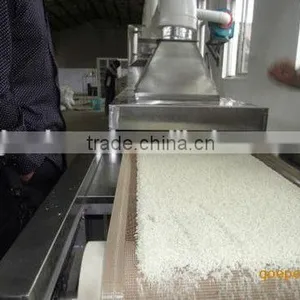 Tunnel Continuous Microwave Conveyor Machine for Drying and Sterilizing Wheat Germ thumbnail-1