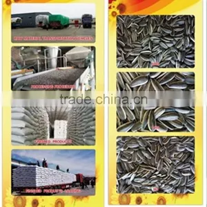 Export American Type Sunflower Seeds thumbnail-1