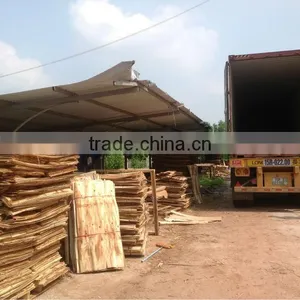 Special Size 970x470mm Eucalyptus Core Veneer for Plywood ( Customer@kego.com.vn) thumbnail-1