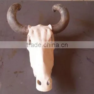 Animal Resin Skull thumbnail-1
