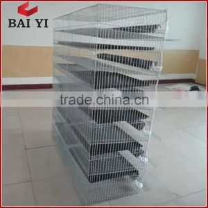 Quail Egg Cage For Quail Egg Production thumbnail-5