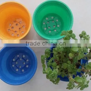 Blue Yellow Purple Plastic Plant Flower Pot thumbnail-2