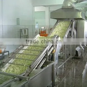Vegetables Washing Processing Line Machine thumbnail-1