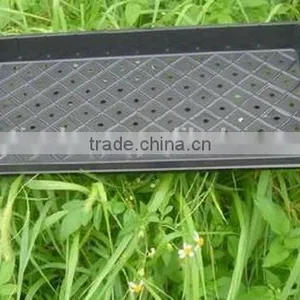 China Supplier Manufacture Latest Low Price Plastic Seed Tray thumbnail-2