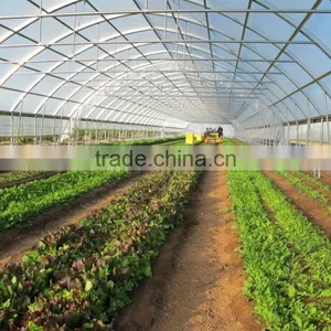 Arch Pipes Tunnel Greenhouse Grow Tent/Plastic Greenhouse For Vegetables thumbnail-1