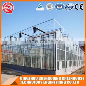 Vegetable and Flowers Poly Tunnel Glass Greenhouse Made in China thumbnail-5