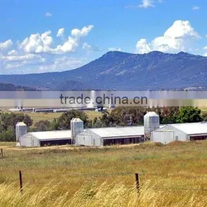 China DFX Cheap Poultry Farming Prefabricated Industrial Chicken House thumbnail-2