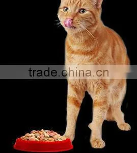 Private Label Organic Dry Pet Food Cat Food thumbnail-6