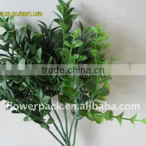 Betel Leaves thumbnail-1