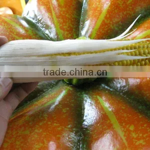 Imitate Vegetable for Decoration thumbnail-1