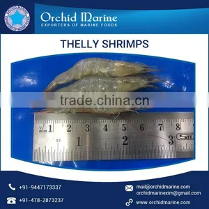 Certified Exporter of Dried Thelly Shrimps Available for Seafood thumbnail-2