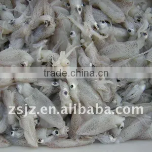 2012 Latest Catching, Fresh Quality Frozen Baby Squid thumbnail-1