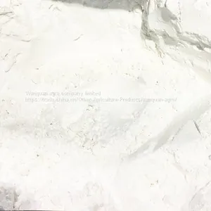Oat Powder thumbnail-1