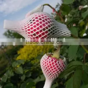 Laizhou Pengzhou EPE Plastic Single Rose Flower Sleeve Net thumbnail-1