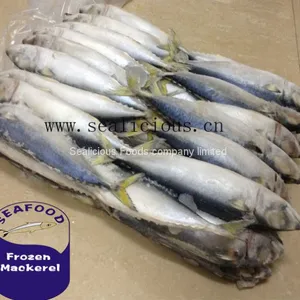 Frozen Mackerel Prices Indian Mackerel Pacific Mackerel thumbnail-2