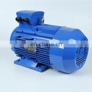 YE3 Three Phase Asynchronous Universal IE3 High Efficiency Industrial Moteur Electrique thumbnail-4