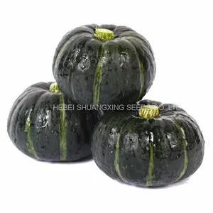 Wholesale Delicious Sweet Pumpkin Seeds for Growing thumbnail-4