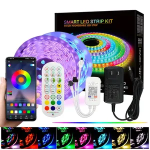Hot Sale LED Pixel Light Strip 48W/Roll 60leds/M WS2811 LED Strip 24-key Infrared Bluetooth Music Controller RGB LED Strip Light Kit thumbnail-2