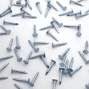 Customizable Roofing Clout Nails - Galvanized, 1kg or 25kg, Made in China thumbnail-5