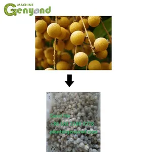 New Design Small Longan Peeling Peeler Nuclear Removal Machine for Extracting Juice thumbnail-2