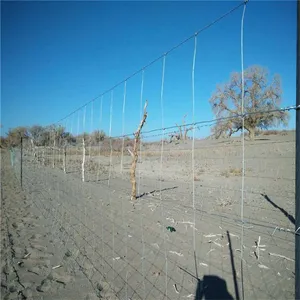 Cattle Panel for Temporary Corrals and Sorting Alley Installation thumbnail-1