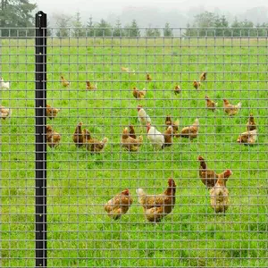 Durable PVC Coated Holland Wire Mesh Euro Fence for Secure Gardens thumbnail-3