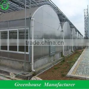 Multi Span Dome Polycarbonate Sheet Greenhouse thumbnail-1