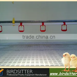 Hot Sale Automatic Poultry Drinking Line for Chicken and Broiler and Breeder thumbnail-1