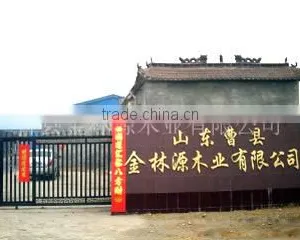 Cao County Jinlinyuan Wood Industry Co., Ltd. company overview - view 1 thumbnail