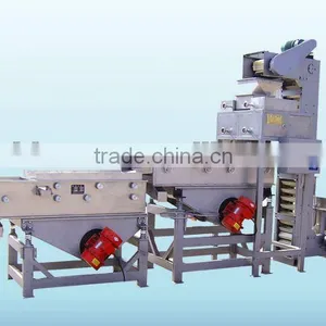Peanut Chopper Machine thumbnail-1