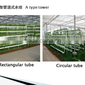 Garden Greenhouse Three Layer Hydroponics for Agricultural thumbnail-3