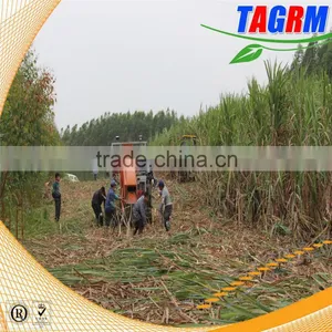 Well-known TAGRM Brand Sugarcane Leaf Remover/with Two Wheels Sugarcane Leaf Peeling Machine Quality Choice thumbnail-6