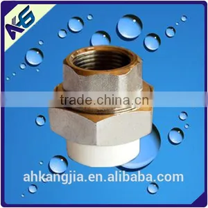 Plastic PB Male Union With Brass thumbnail-1