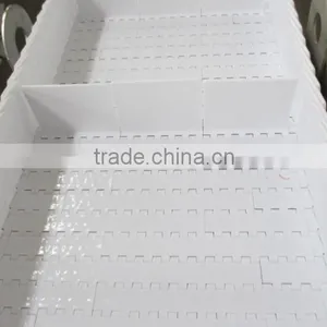 Grain Belt Conveyor thumbnail-5