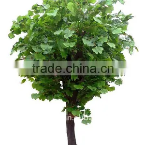 Larger Artificial Ficus Tree thumbnail-1