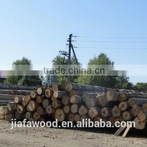 FSC High Quality Birch Logs thumbnail-3