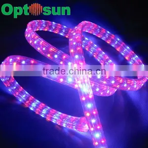 High Power 220v Led Rope Light thumbnail-1
