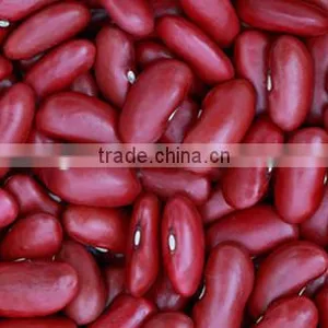 We Are Supply Kidney Beans, Dark Red Kidney Beans for Sale thumbnail-6