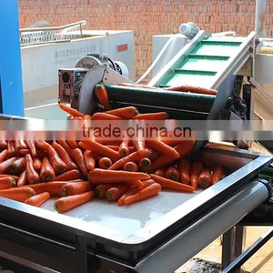 Farmland Fresh Red Carrots Supplier thumbnail-5