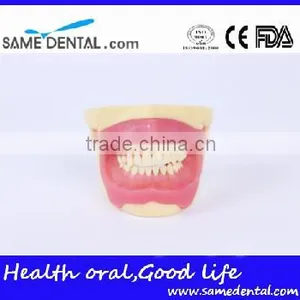 NISSIN Anesthesia Extraction Model School Teaching Demonstration thumbnail-1