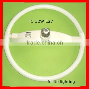 Light Source Fluorescent Lamp Tube T5/T6/T8/T9/T10/T12 thumbnail-2
