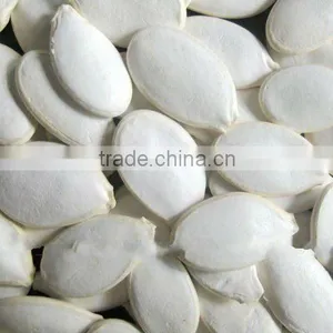 Edible Pumpkin Seeds and Kernels,shine Skin Pumpkin Seeds thumbnail-1
