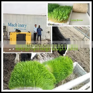 Stainless Steel Automatic Bean Sprout Growing Machine thumbnail-1