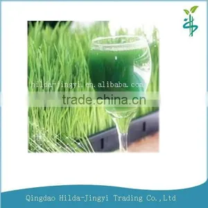 2015 Healthy Vegetable Powder- Organic Barley Grass Powder thumbnail-1