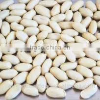 Blanched Peanut Kernel Peanuts Plant thumbnail-1