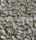 New Crop Chinese Sunflower Seeds Kernels(bakery) thumbnail-2