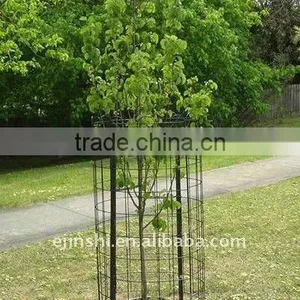 Metal Tree Guards thumbnail-1